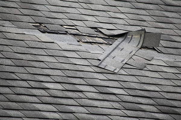 Professional Roof Repair and Replacement