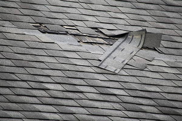 Professional Roof Repair and Replacement Professional Roof Repair and Replacement